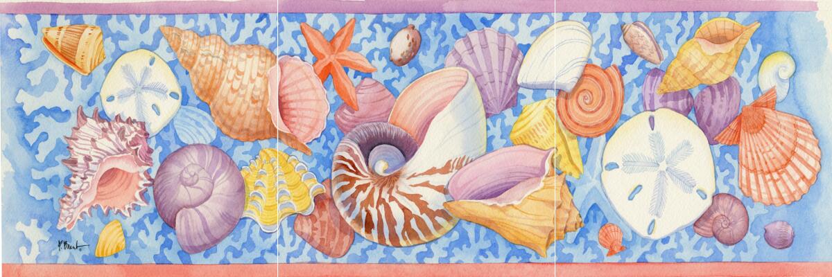 Ceramic Backsplash Tile Mural Sea Shell Themed – Shell Coral Border