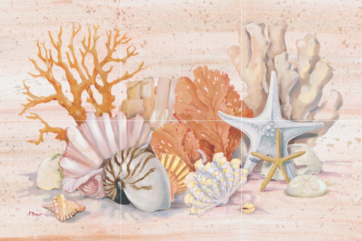 Ceramic Backsplash Tile Mural Sea Shell Themed – Coral Still Life Collage
