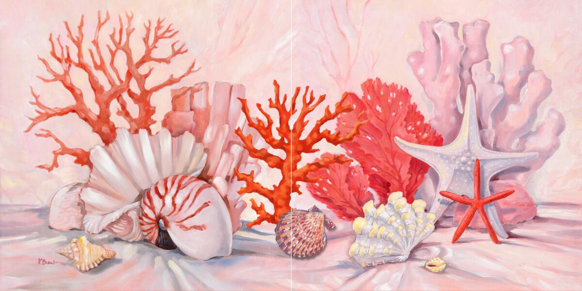 Ceramic Backsplash Tile Mural Sea Shell Themed – Coral Still Life Border