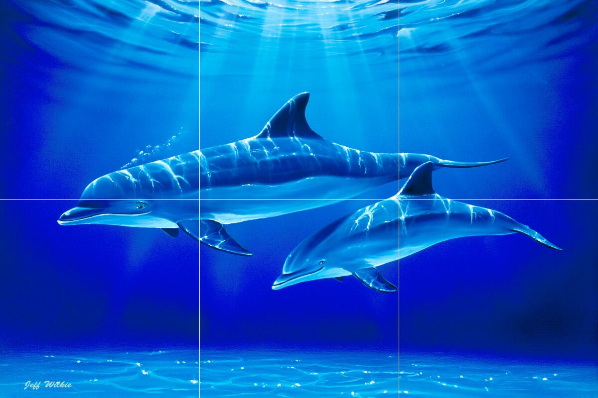Ceramic Backsplash Tile Mural Dolphin Kitchen/Bathroom/Shower – Dolphin Dive