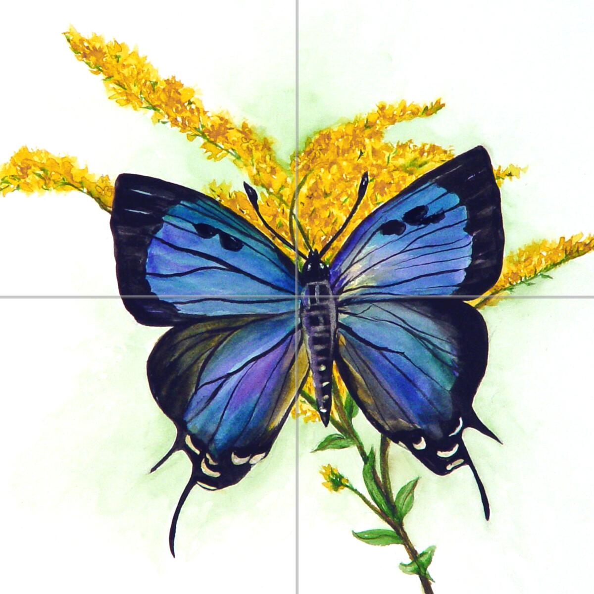 Ceramic Backsplash Tile Mural Butterfly – Purple Hairstreak Butterfly