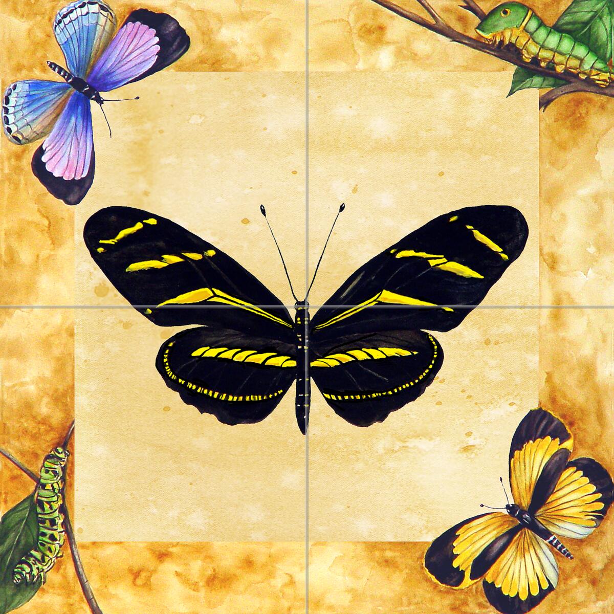 Ceramic Backsplash Tile Mural Butterfly Kitchen/Bathroom – Zebra Butterfly