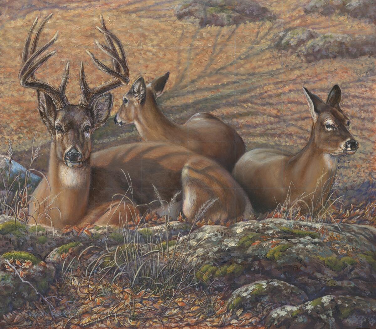 Ceramic Backsplash Tile Mural Deer Elk Wildlife Kitchen/Bathroom - Bed ...