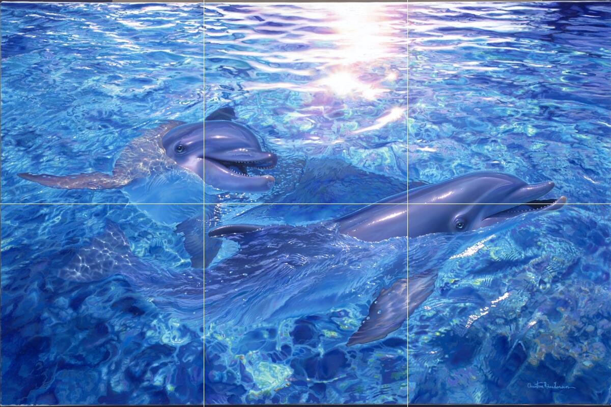 Ceramic Backsplash Tile Mural Dolphin Kitchen/Bathroom/Shower – Togetherness