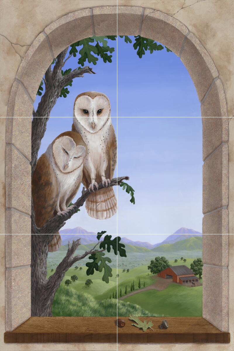 Ceramic Backsplash Tile Mural Bird Of Prey Bird Kitchen/Bathroom – Owls