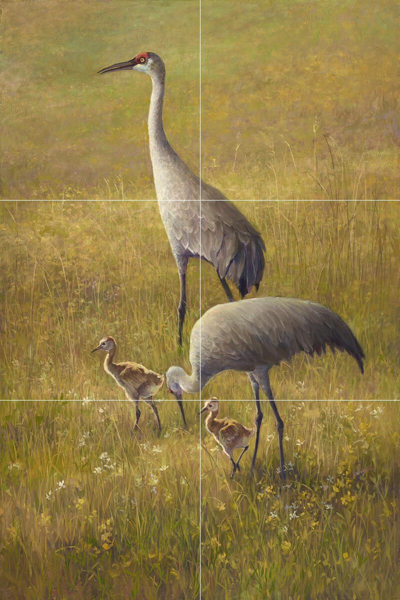 Ceramic Backsplash Tile Mural Waterfowl Bird – Golden Hour Sand Hill Cranes