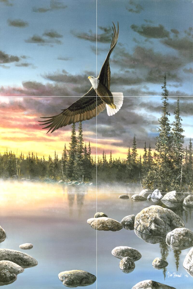 Ceramic Backsplash Tile Mural Bird Of Prey Kitchen/Bathroom – Eagle In Flight